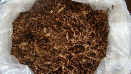 Продаю домашний табак, семена табака сигарно-трубочный, сигаретный.   
табак ку. . фото 8