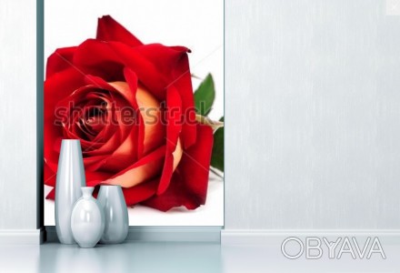 
Фотообои Роза романтика подчеркнут индивидуальность дизайна спальни или гостино. . фото 1