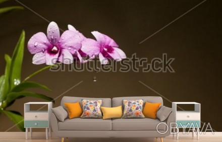 
Стильные, роскошные орхидеи станут достойным украшением спальни или гостиной. О. . фото 1