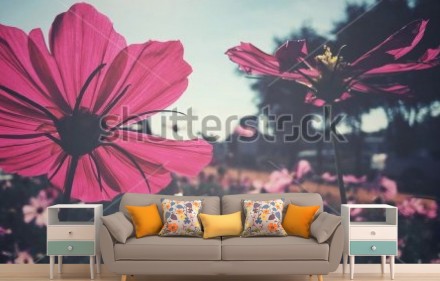 Фотообои Полевые цветы. Київ. фото 1