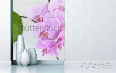 
Фото очень точно передает нежный цвет настоящей орхидеи и ее неповторимое очаро. . фото 1