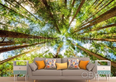 
Фотообои летний лес идеально впишутся в интерьер любой гостиной, спальни, столо. . фото 1