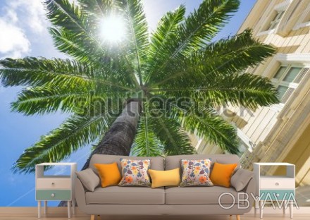 
Фотообои на потолок с кроной пальмы создадут неповторимую атмосферу в вашем дом. . фото 1