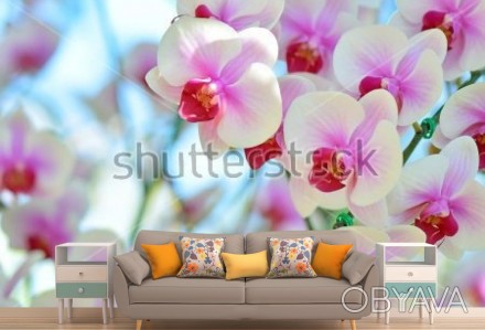
Стильные фотообои Радужная орхидея — оптимальное дополнение к уютному интерьеру. . фото 1