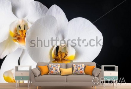 
Фотообои Белая орхидея — одна из самых оригинальных идей для декора спальни. Со. . фото 1