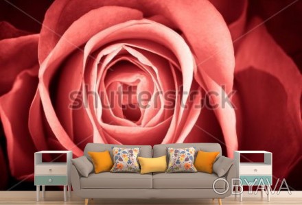 
Фотообои Огненная роза подчеркнут индивидуальность дизайна спальни или гостиной. . фото 1