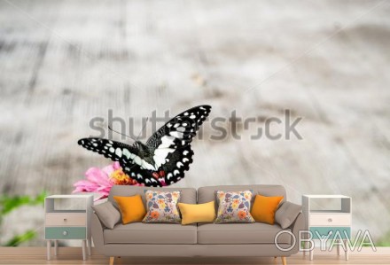 
Оригинальные фотообои Бабочка, цветок оптимальное дополнение к уютному интерьер. . фото 1