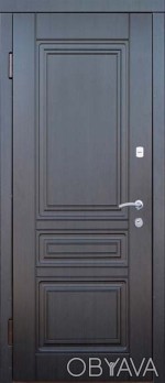 Двери Портала Рубин + моттура. Размеры 850х2040мм/950х2040 мм +100грн,
Уличная п. . фото 1
