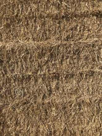 До Вашої уваги більше 1000т. пшеничної соломи, вологість-16%, відмінної якості, . . фото 9