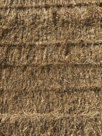 До Вашої уваги більше 1000т. пшеничної соломи, вологість-16%, відмінної якості, . . фото 10