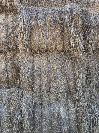 До Вашої уваги більше 1000т. пшеничної соломи, вологість-16%, відмінної якості, . . фото 12