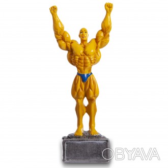 	Тип: спортивная наградная статуэтка;Вид спорта: бодибилдинг;Габаритный размер с. . фото 1