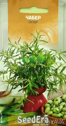 Чабер – однолетнее растение. Вегетационный период 115 дней, до хозяйственного ис. . фото 1