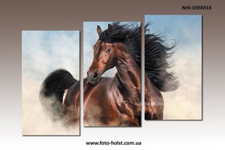 Каталог модульных картин (3000 фото), размеры и цены на сайте http://www.foto-ho. . фото 8